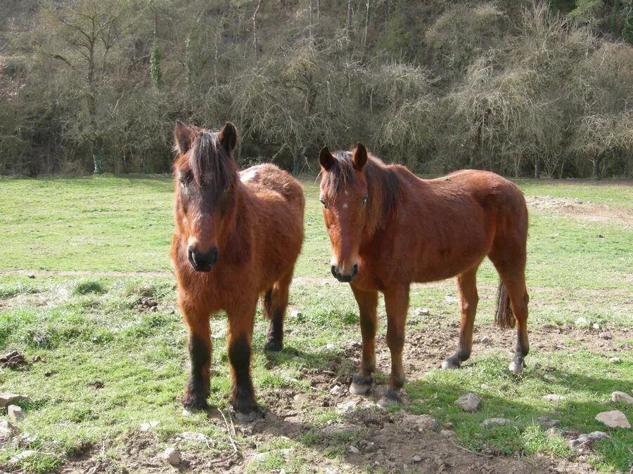 Jumpy und Kosmos