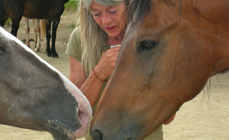 Lucy Rees with two horses
