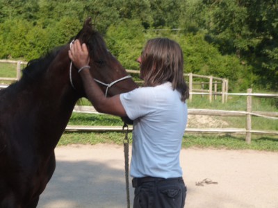 Der Pferdetrainer Toni arbeitet mit Jumpy