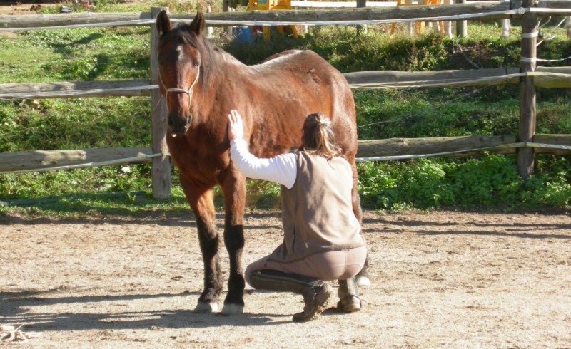 Toni kneels in front of Jumpy