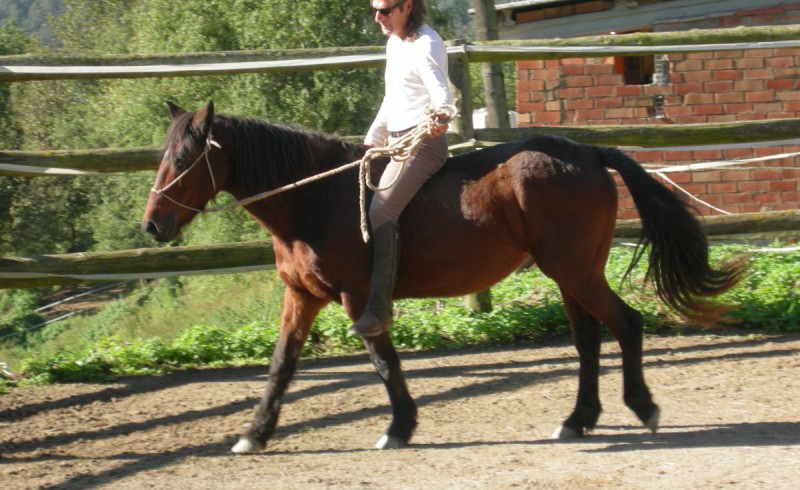 Toni riding Jumpy