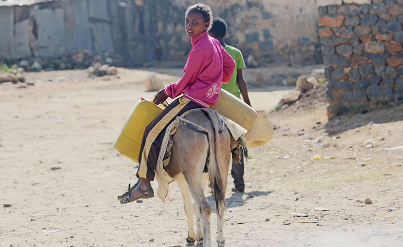 Ein Mädchen reitet auf einem Esel und bringt Wasser in ihr Dorf in Eritrea.