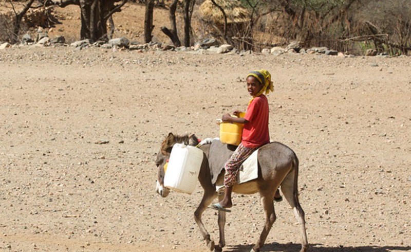 A village in Eritrea