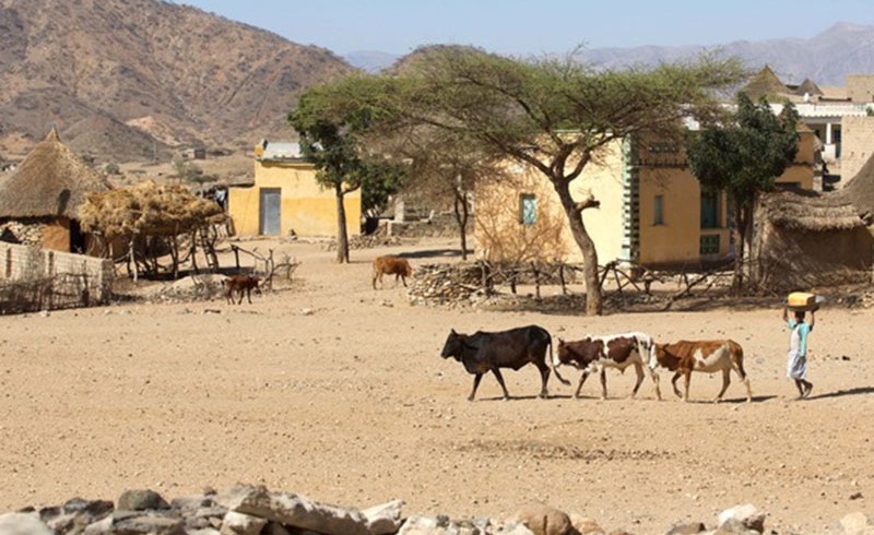 A village in Eritrea