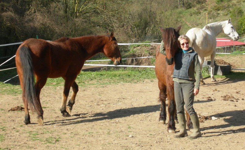 Marlies Kamps the found of the Epona Foundation with Jumpy