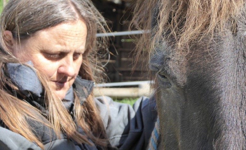 Eine Frau und ein Pferd