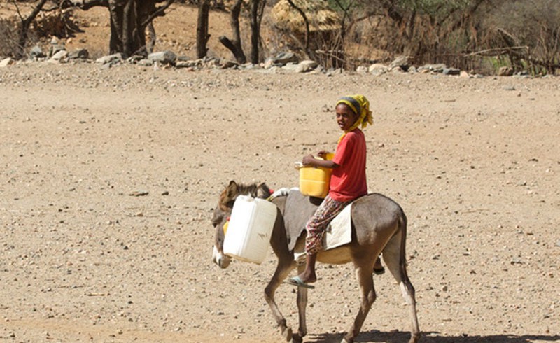 Ein Mädchen auf einem Esel in Eritrea