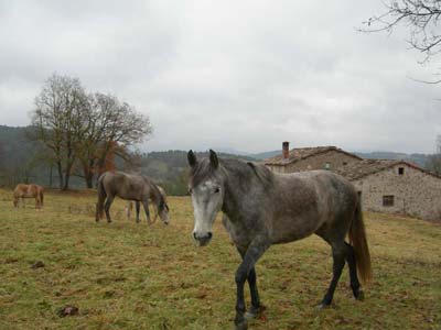 Triana und Titia