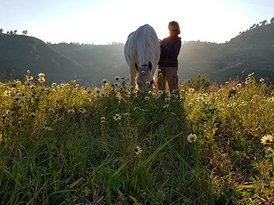 Eine Frau mit einem Pferd stehen auf einer Weide im Abendlicht