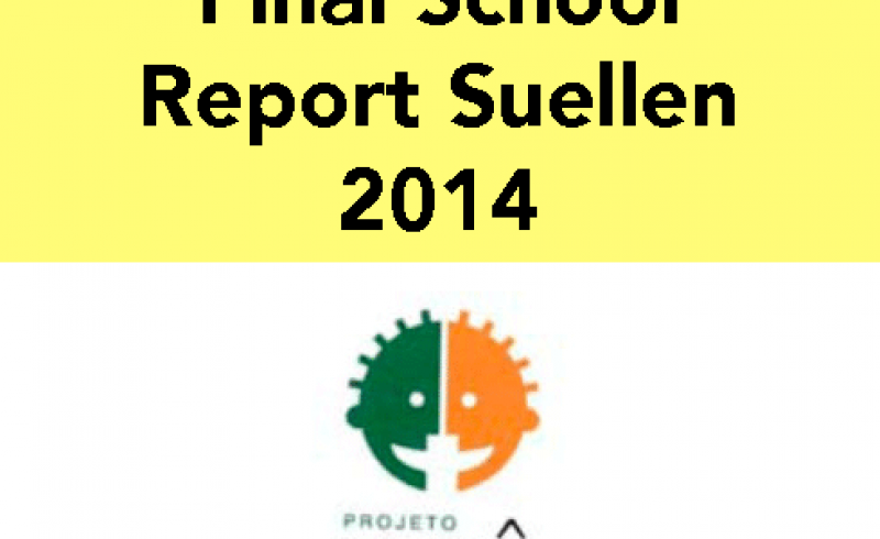 Final Grade Suellen 2014